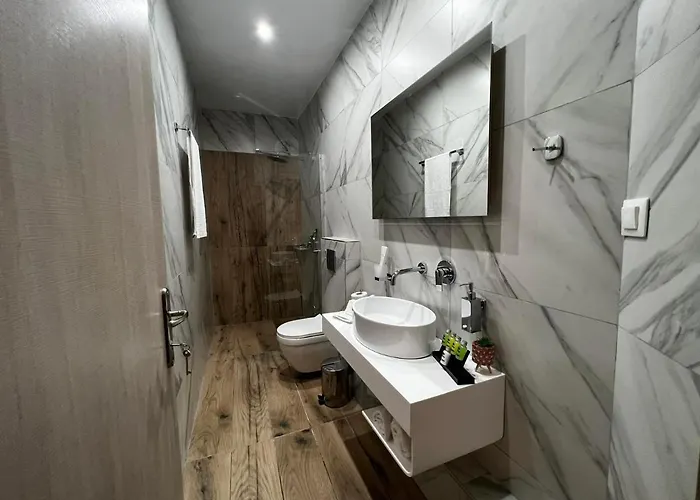 公寓 Veni's 波托什